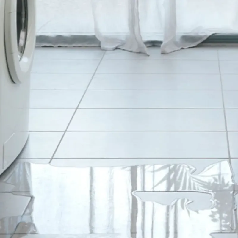Appliance Leak Cleanup in New Sharon, IA