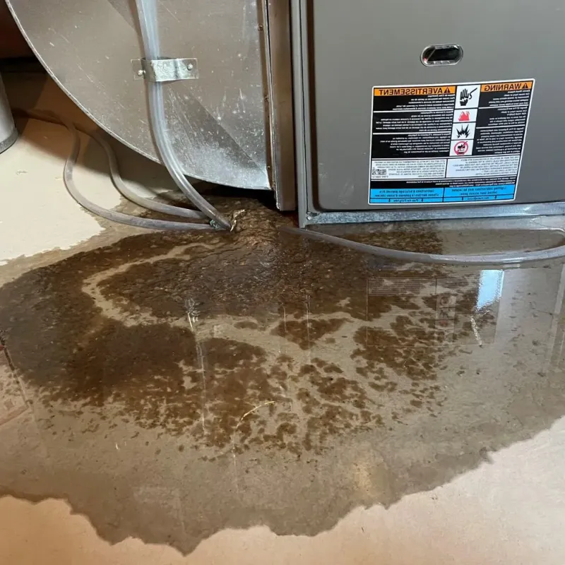 Pipe Burst and Leak Restoration in New Sharon, IA
