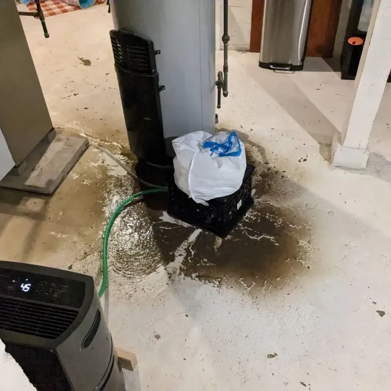Sewage Backup Cleanup Service in New Sharon, IA